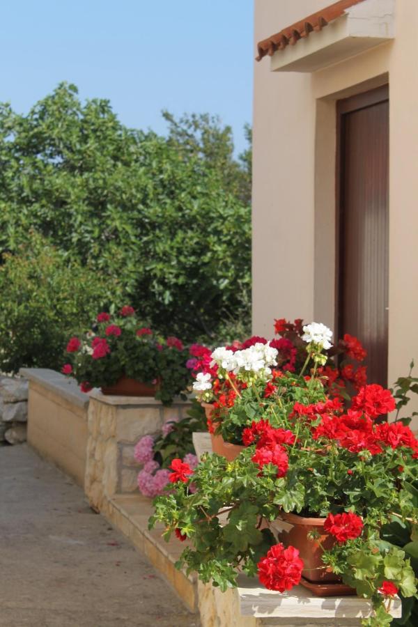 Apartments By The Sea Veli Rat, Dugi Otok - 436 Exterior foto